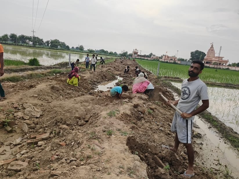 In search of silver coins, some came with spade and some with hoe and kept on digging