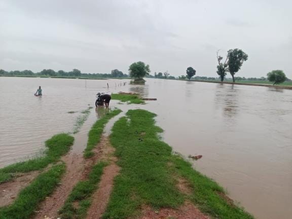 The main canal was breached due to the bank bursting, water entered Barauli village