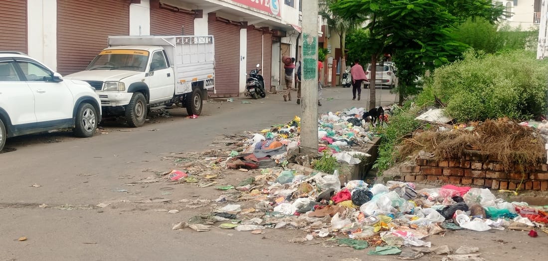 Garbage Store in various Places in city
