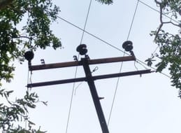 Branch fell on 33 KV main line, power supply remained disrupted for the whole day
