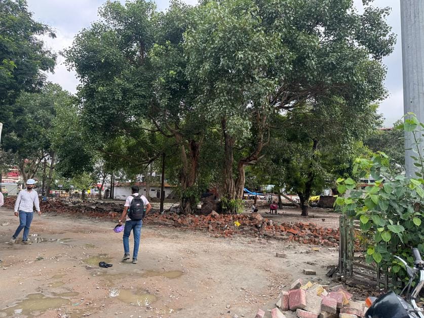 charbagh station parking trees will be cut down