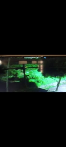 Attempt to steal signal cable, train stopped