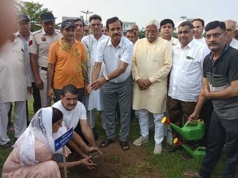 Committed to take care of plants