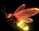Fireflies are on the verge of extinction due to spraying of pesticides