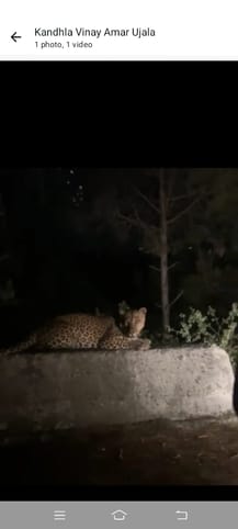 Leopard's video in Elam area goes viral, investigation begins