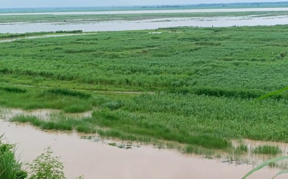 Ganga's water level increased, hundreds of acres of crops got submerged