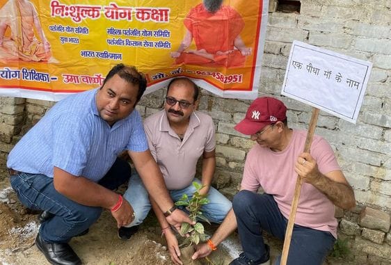 Planting of fruit and flower plants