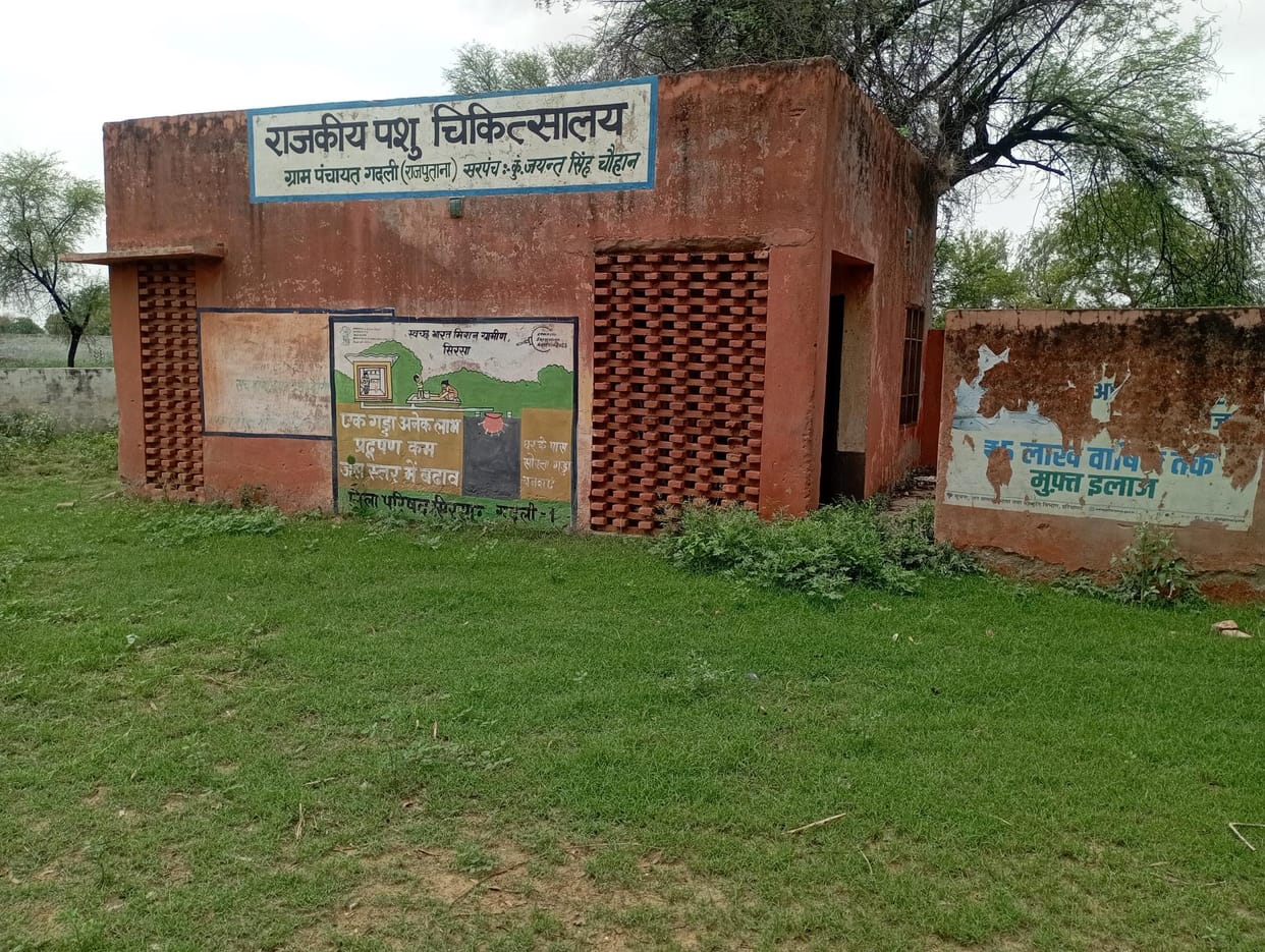 Gadli's animal hospital itself is sick, cattle keepers wander around for treatment of their cattle