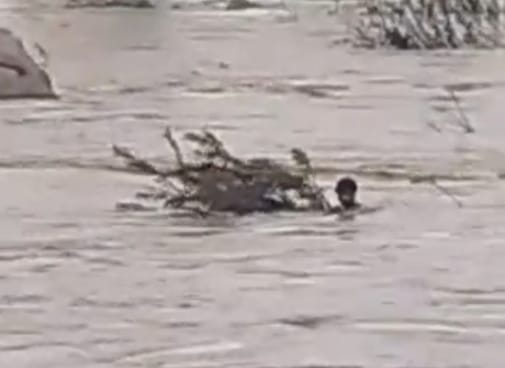 Balaghat: A young man fell from a small bridge and was swept away for 100 meters