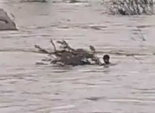 मछली पकड़ने गया युवक झाड़ियों के सहारे