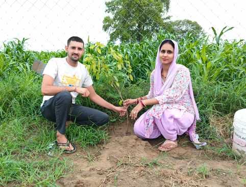 Salhawas. Yogesh Jakhar and his wife Renu Jakhar, residents of Sundarheti village of the district, have taken a commendable and inspiring step of planting trees.