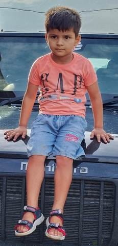 Two cousins died after getting crushed under a buffalo-buggy