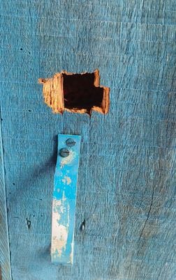 In a dispute over love marriage, the girl's brother opened fire at the boy's house