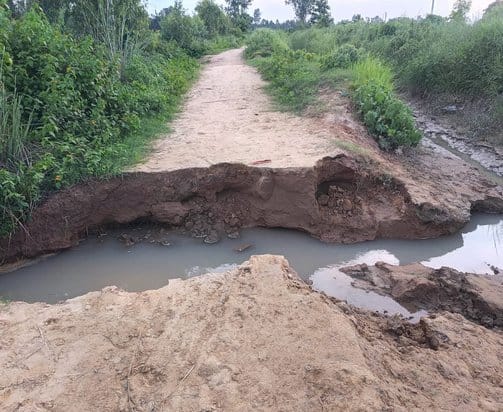 Crops submerged due to breakage of minor canal track