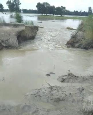 Mahripur pump canal cut, 80 bigha paddy fields submerged