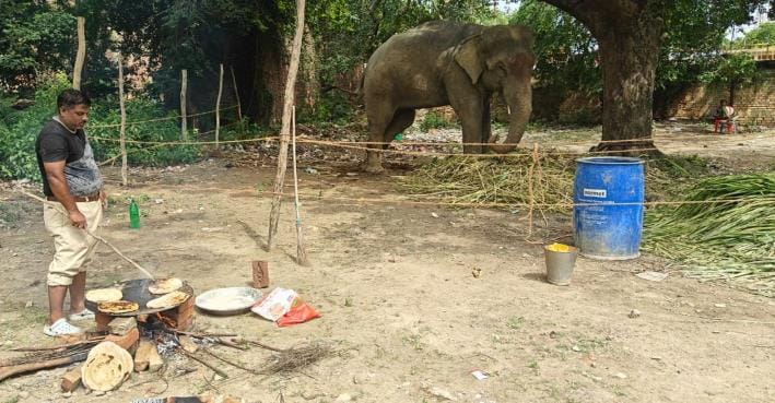 Forest department team made roti for elephant