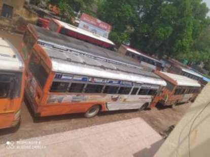 रोडवेज बसें।