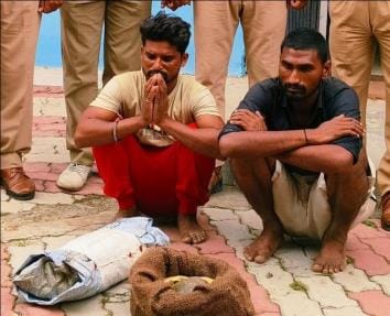 wo smugglers arrested with eight wild turtles