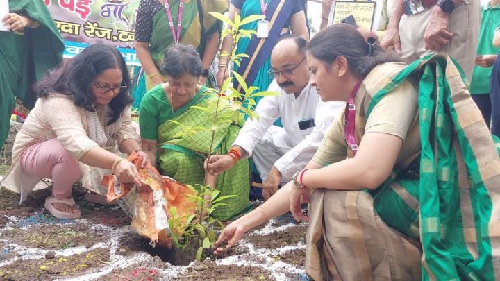 Plants planted in the Kakrali Gate courtyard of Nandhaur Wildlife Sanctuary