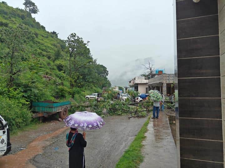 पुंछ मंडी मार्ग पर गांव नंगाली बावली में गिरा पेड़।