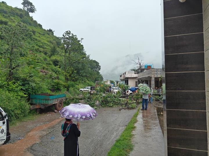 पुंछ मंडी मार्ग पर गांव नंगाली बावली में गिरा पेड़।