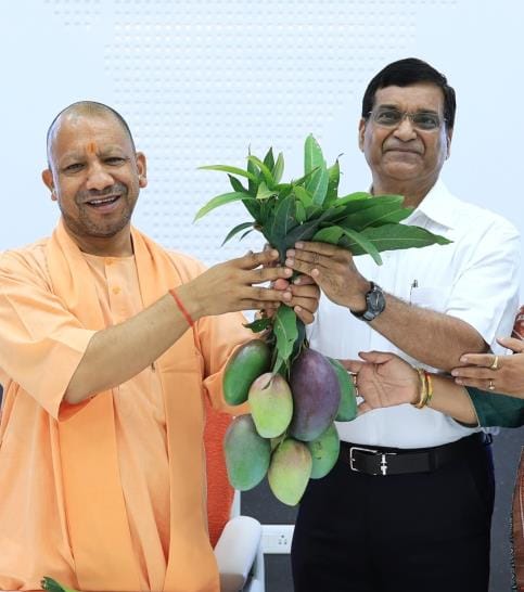 Special variety of mangoes presented to the Chief Minister