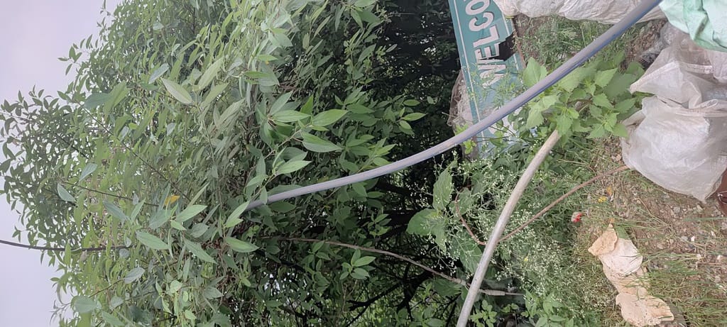 Drinking water pipe hung from the electric pole, people scared of dangerous supply