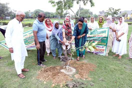 Take a pledge to protect the environment along with planting trees: SDM