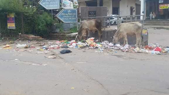 Swachh Survey 2024: Bahadurgarh 12th, Beri 13th and Jhajjar lagged behind to reach 16th rank