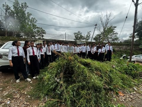 Students of BTTM department uprooted cannabis plants