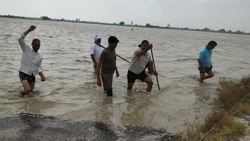 450 acres of paddy crop submerged, farmers demanded compensation
