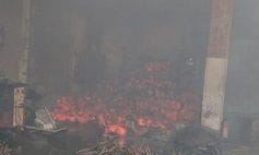 Fire broke out in fertilizer factory due to short circuit, loss of lakhs