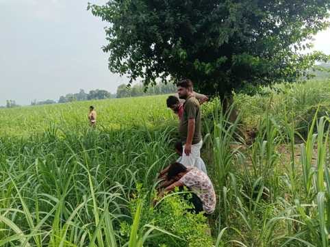 Hyderabad police registered a case under cow slaughter act