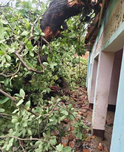 English   Household items destroyed by falling trees