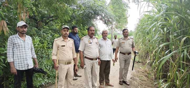 The department is trying to find the location of the leopard by installing four pairs of cameras