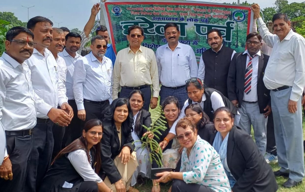 It is everyone's responsibility to preserve forest wealth: District Judge