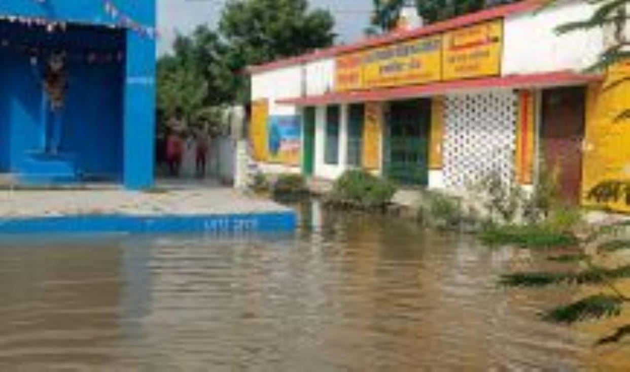 Canal track cut, 100 bigha crop submerged