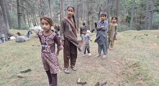 The department claims that there is one teacher for 11 children, but the children said that they do not come at all