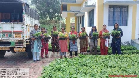 Campaign to make women groups self-reliant through fruit production