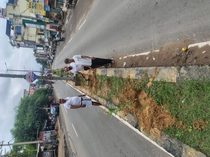 The workers of the organization planted trees