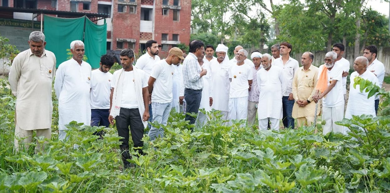 farmers learnt organic farming