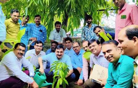 tree plantation event in roadways