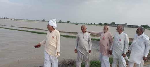 Crops completely ruined due to waterlogging, farmers demanded compensation