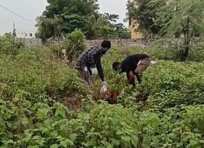 In the case of a dog being shot dead, no evidence of bullet injury was found in the PM report