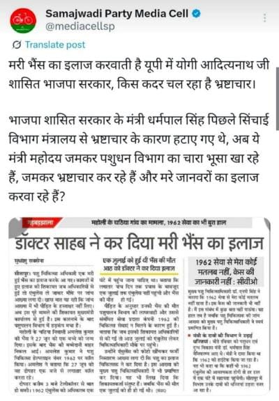 Investigation started in the case of treatment of dead buffalo