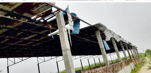 Capacity of Nagar Parishad Nandishala will increase, three thousand helpless animals will get shelter