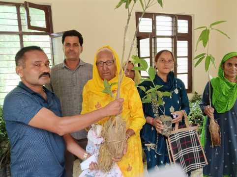 Greenery will return to the barren thirty kanal land of six panchayats.