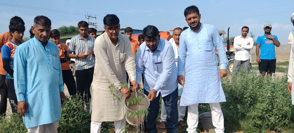 Plantation campaign started under Mhara Hara Bhara Uchana scheme