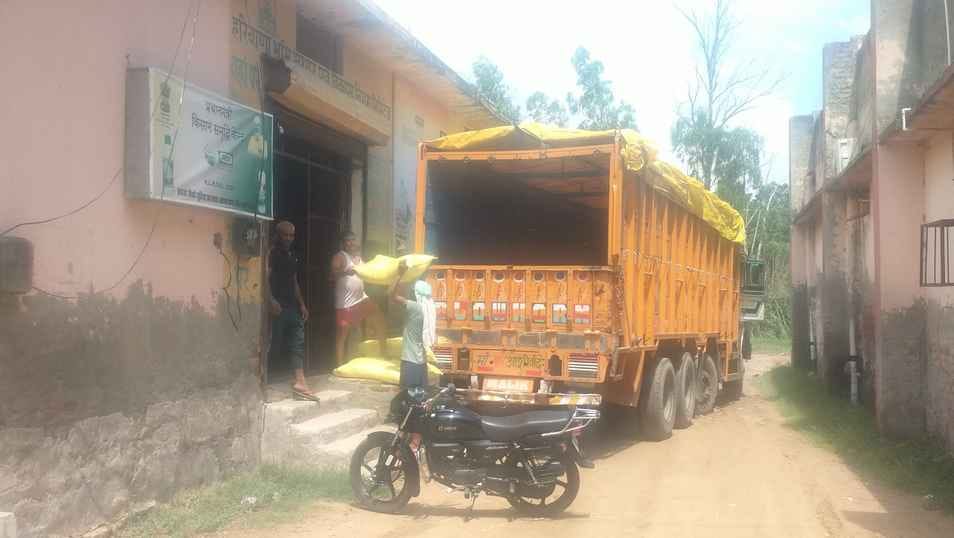 500 bags of urea reached the government shop, distribution will start from Monday