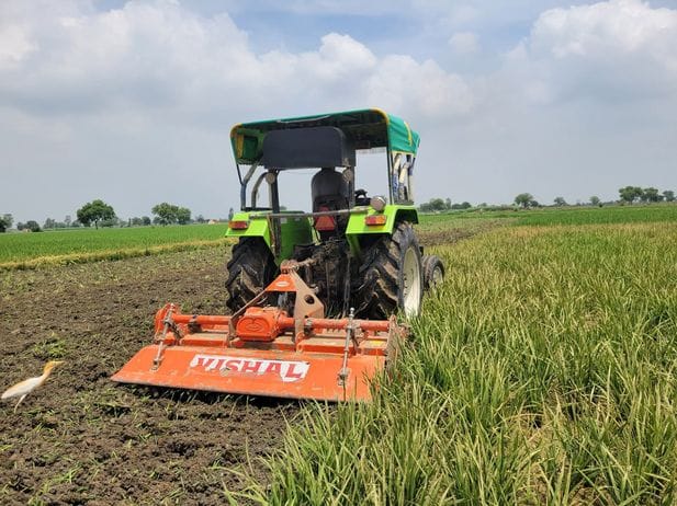 Farmers drove tractors on paddy crop in Dablain and Sachcha Kheda